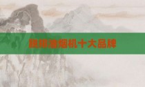 脱排油烟机十大品牌