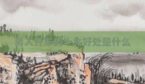 男人开车的十大好处是什么