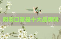 翔羽口罩是十大品牌吗