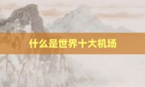 什么是世界十大机场