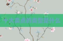 十大卖点的类型是什么