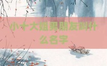 小十大姐男朋友叫什么名字