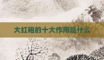 大红袍的十大作用是什么