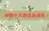 中国十大房企业排名