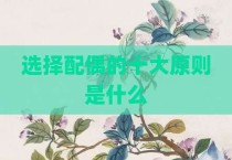 选择配偶的十大原则是什么