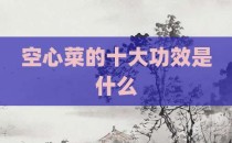 空心菜的十大功效是什么