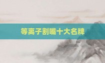 等离子割嘴十大名牌