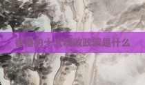 香港的十大税收政策是什么