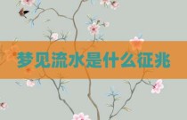 梦见流水是什么征兆