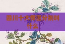 四川十大悍匪分别叫什么