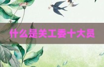 什么是关工委十大员