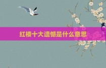 红楼十大遗憾是什么意思