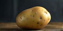 梦见土豆是什么意思