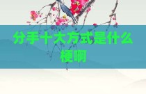 分手十大方式是什么梗啊