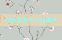 蓝巨星是十大品牌吗