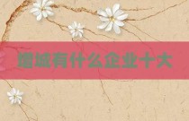 增城有什么企业十大