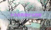 十大吉药是什么药名