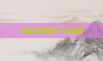 电压力锅的十大品牌