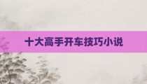 十大高手开车技巧小说