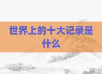 世界上的十大记录是什么