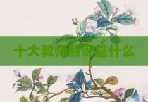 十大教师原则是什么