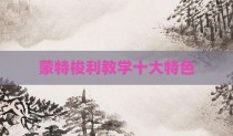 蒙特梭利教学十大特色
