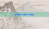 思域2022款十大缺点