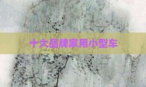十大品牌家用小型车