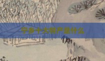 宁乡十大特产是什么
