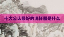 十大公认最好的洗杯器是什么