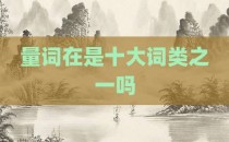 量词在是十大词类之一吗