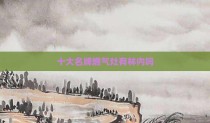 十大名牌燃气灶有林内吗
