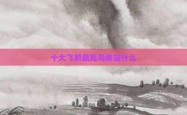 十大飞的最高鸟类是什么