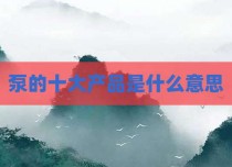 泵的十大产品是什么意思