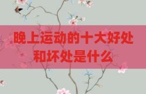 晚上运动的十大好处和坏处是什么