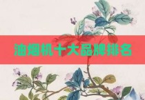 油烟机十大品牌排名