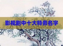 影视剧中十大特务名字