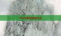 十大可爱动物是什么