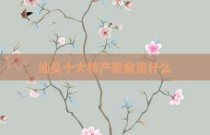 汕头十大特产美食是什么