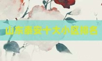 山东泰安十大小区排名