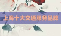 上海十大交通服务品牌