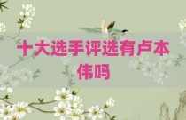 十大选手评选有卢本伟吗