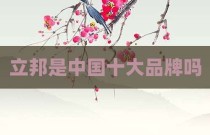 立邦是中国十大品牌吗