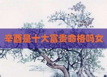 辛酉是十大富贵命格吗女