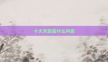 十大天政是什么内容