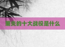 萧炎的十大战役是什么