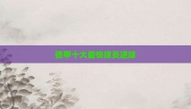 德甲十大最快球员进球