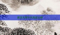 武汉大学十大风云人物
