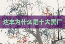 达丰为什么是十大黑厂