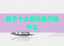 茄子十大操作技巧是什么